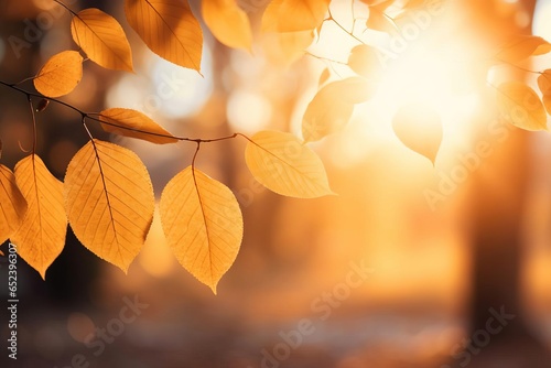 Sunlit Autumn Branch: Poetcore Beauty in Dark Orange and Light Bronze with Sunlights