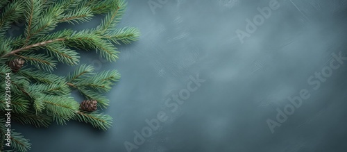 A Christmas tree branch in ...
