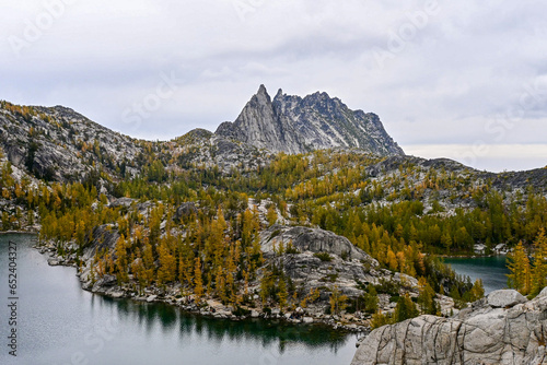Cuadro en lienzo Larch season in the enchantments