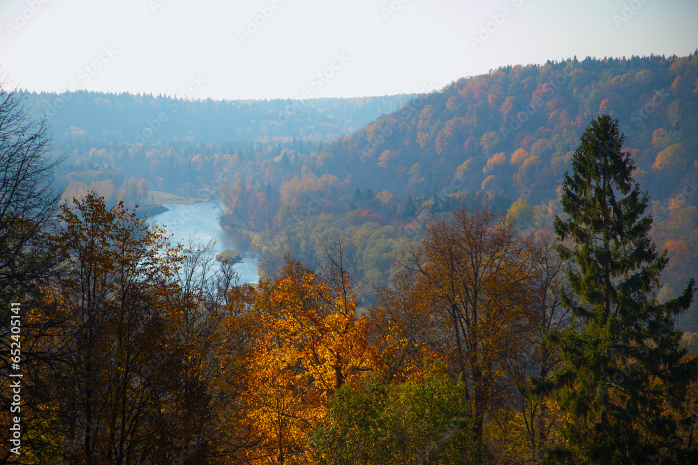 Golden autumn in the park. Tree leaves in bright colors