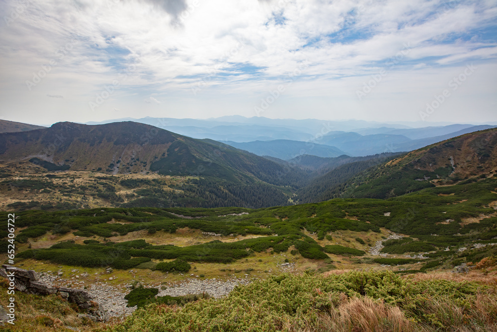 Naklejka premium sharp rocks of Shpytsi Mountain in Chornohora mountain range