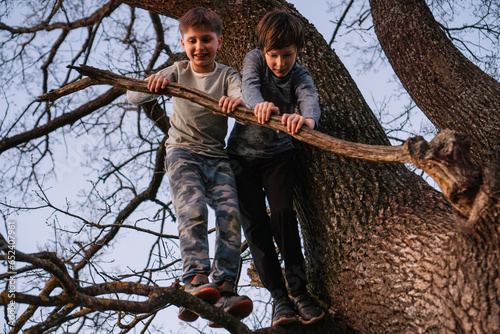 Two active teenagers climbed up on tree, standing on branch and leaning on embranchment, attempting to keep balance. photo