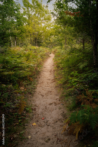 Black Creek Trails