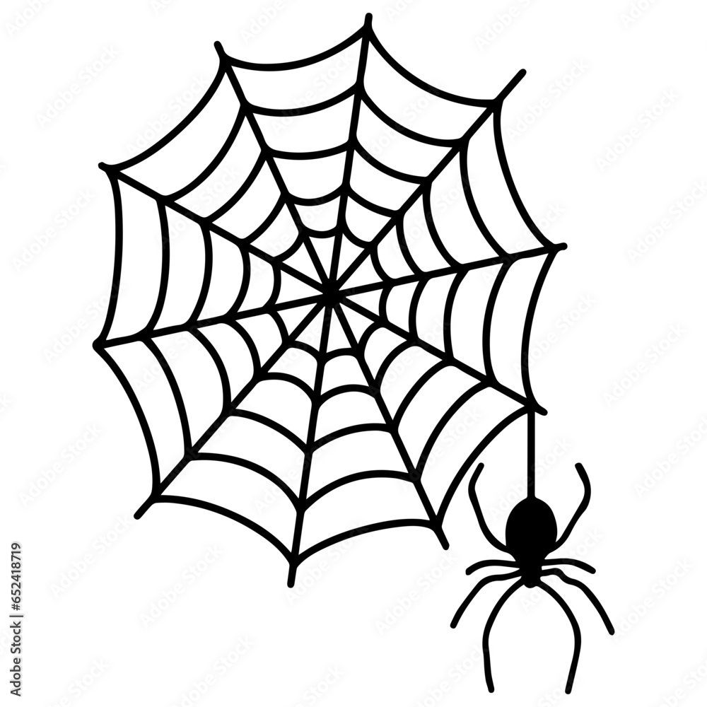 Obraz premium Spider Web