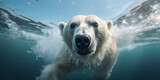 polar bear in the sea underwater, cinematic photography