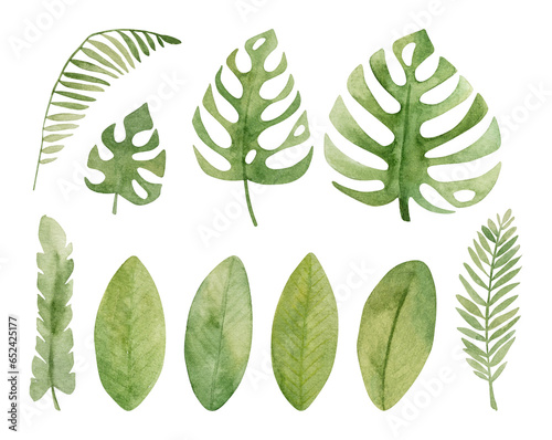 Tropical summer leaves composition watercolor painting for postcard. Exotic botanical plants eco natute illustration