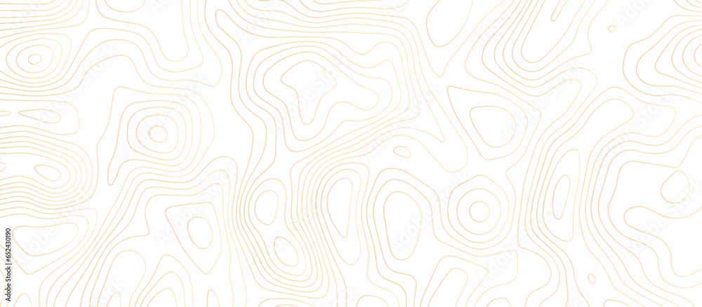 abstract White wave paper curved reliefs background .Panorama view gradient multicolor wave curve lines banner background design. Vector illustration. wave Line topography map contour background. abstract White wave paper curved reliefs background .Panorama view gradient multicolor wave curve lines banner background design. Vector illustration. wave Line topography map contour background.