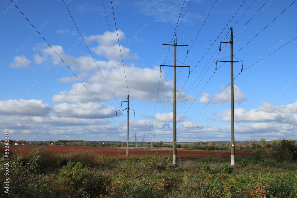 The power line over the buckwheat field goes into the horizon The power line over the buckwheat field goes into the horizon