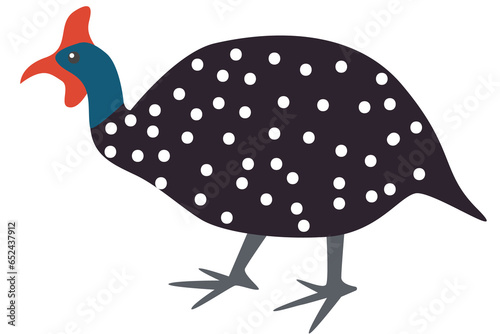 Gineafowl Bird Illustration
