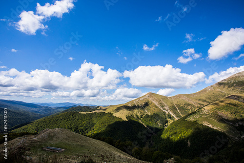Summer landscape in the mountains of Navarra  Pyrenees  Spain