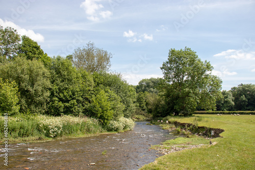 Summertime river in the UK.