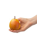 Ripe pear on white isolated background in a woman's hand