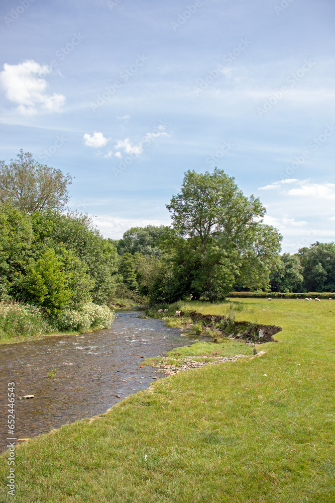 Fototapeta premium Summertime river in the UK.