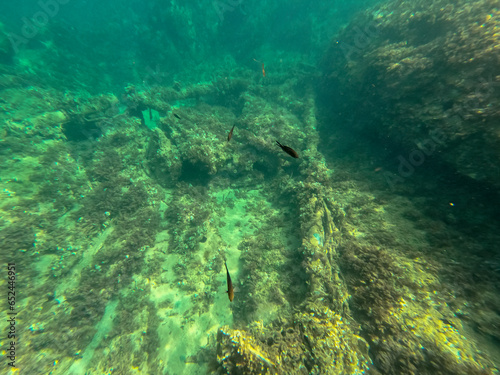 Underwater snorkeling in Cabo de Palos Cartagena Murcia Spain