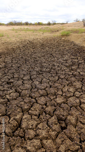 curaca, bahia, brazil - september 17, 2023: view of cracked earth in a dry dam due to drought in the backlands of Bahia