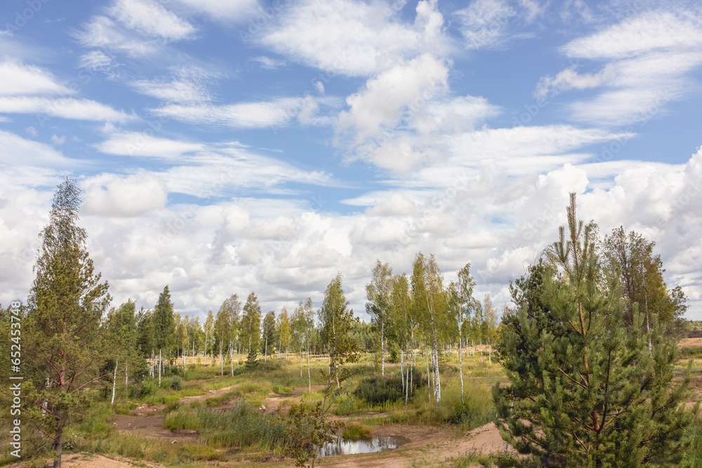 Birch trees and pine trees began to grow in the former gravel pit Birch trees and pine trees began to grow in the former gravel pit