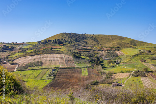 Landscape with vineyards in the province of Marsala on the island of Sicily photo