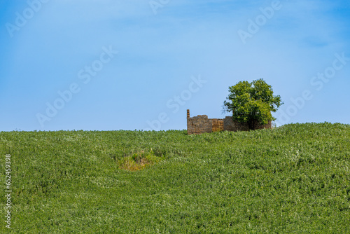 Agricultural spring landscape below the historic town of Salemi on the island of Sicily photo