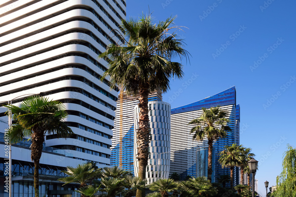 Modern office and residential buildings in the southern city. On the background of tropical palm.