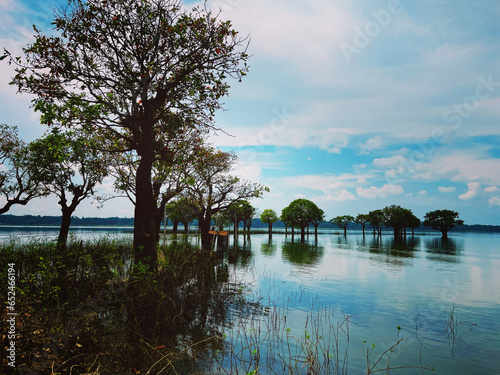 The beauty of Son Beel photo