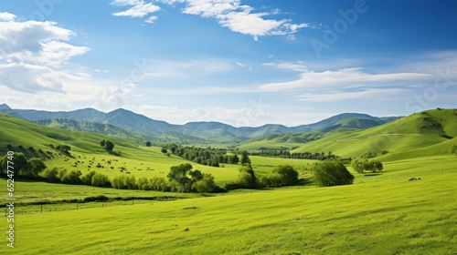 Peaceful countryside with rolling green hills © olegganko