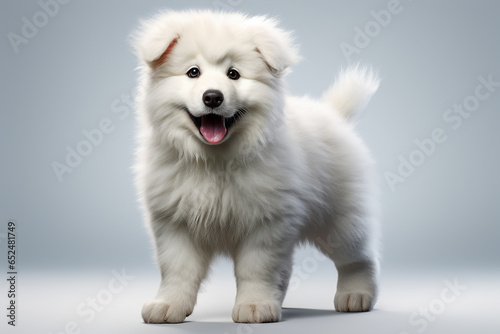 Pyrenean Mountain Dog puppy on a light blue background. Adorable 3D cartoon animal portrait.	 photo
