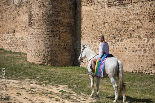 Non-binary person, young and South American, very makeup, mounted on a white horse, with a gay pride flag on the rump, next to an old medieval castle. Concept queen, lgbtq+, pride, queer.