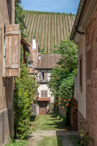 Riquewihr, France - 09 04 2023: The wine route. View of a typical colorful street in downtown with vineyards in background. photo