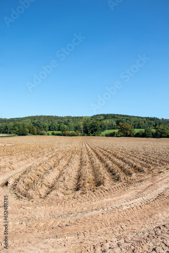 Ploughed field in autumn