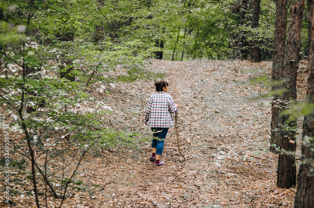An adult elderly woman, a pensioner, a mushroom picker, walks with a stick through the forest, doing tourism. An adult elderly woman, a pensioner, a mushroom picker, walks with a stick through the forest, doing tourism.