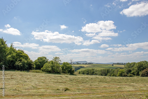 Summertime countryside in the UK.