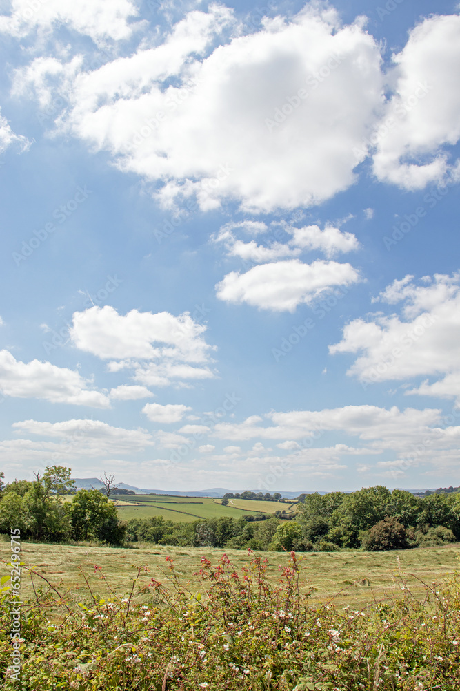 Summertime countryside in the UK.