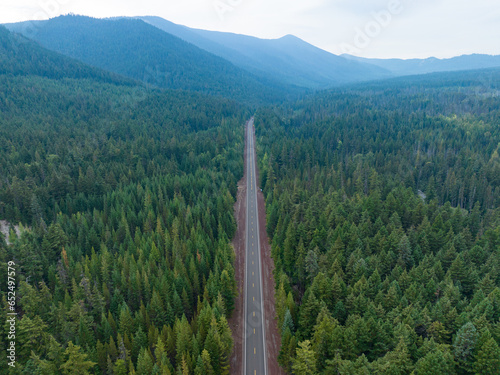 A lonely road leads through a seemingly endless forest in the Pacific Northwest.