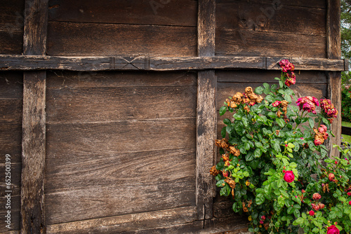 Wooden wall of rustic cabin wall with flowers