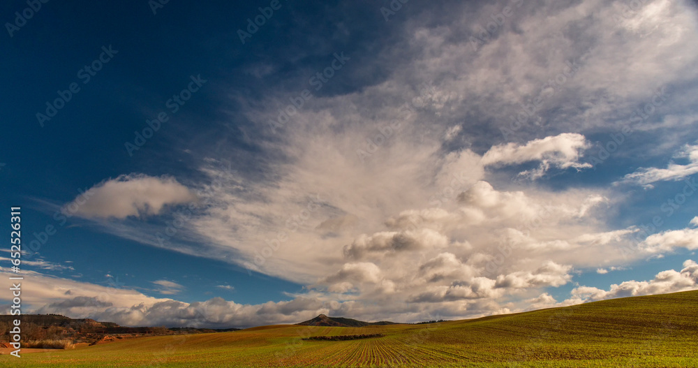 Breathtaking Blue Sky with Majestic Clouds Over a Lush Cereal Field - Perfect Sky Background for Stock Agencie.