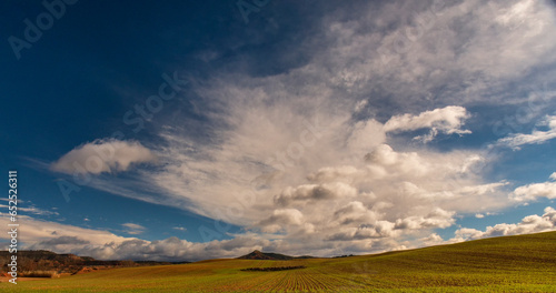 Breathtaking Blue Sky with Majestic Clouds Over a Lush Cereal Field - Perfect Sky Background for Stock Agencie. © bpeblas