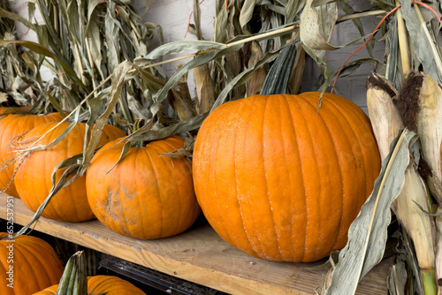 Pumpkins in a row on wooden shelf, fall display