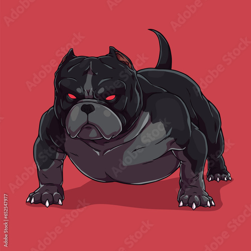 American bully pitbull dog bulldog	
