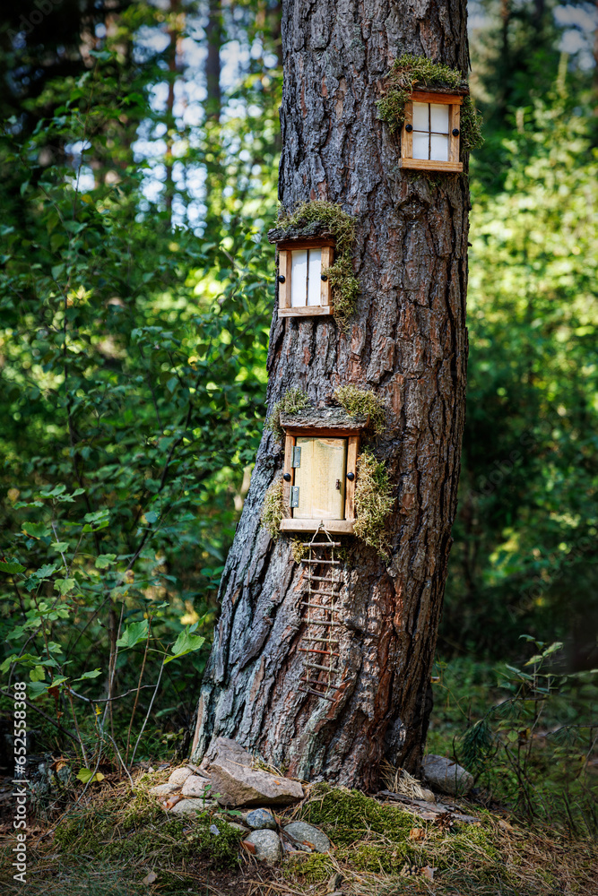 Doors and windows in a tree trunk. Doors and windows in a tree trunk.