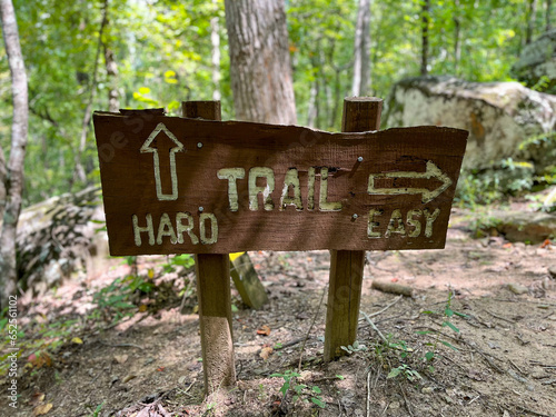 sign in the forest