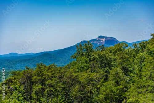 An overlooking view in Greenville  South Carolina