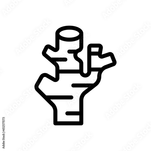 ginger line icon