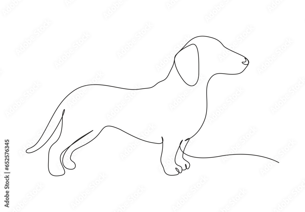 Dachshund dog continuous one line art vector illustration. Isolated on white background. Stock illustration. Pro vector.