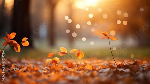 Autumnal ambiance: orange leaves and flowers gently falling