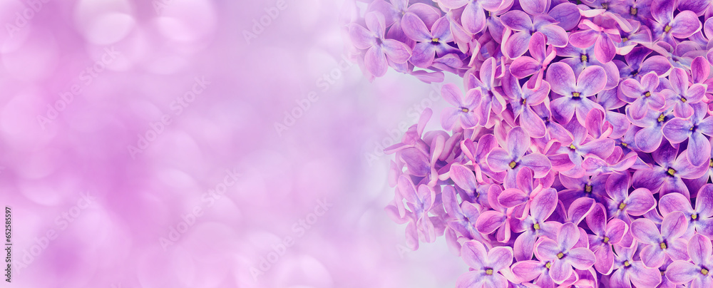 Floral spring background. Lilac flowers background. Nature. Floral spring background. Lilac flowers background. Nature.