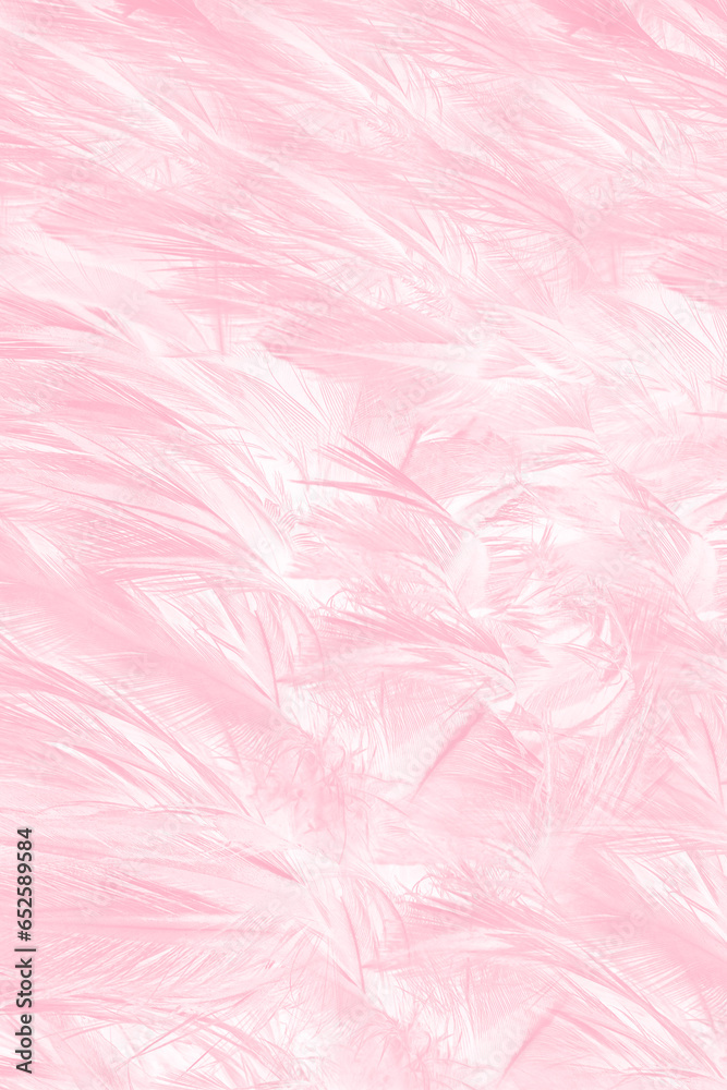 Beautiful soft pink feather pattern texture background Beautiful soft pink feather pattern texture background