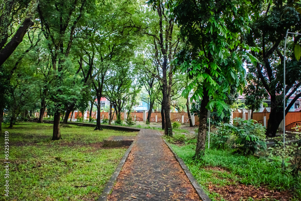 Pedestrian path in a park with shade of trees