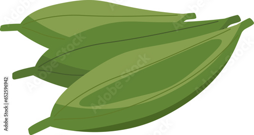 ridged gourd