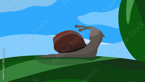 snail  pattern for a poster or background