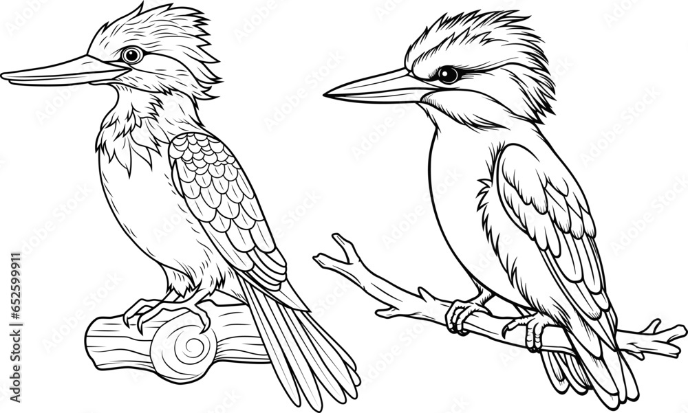 Fototapeta premium Set of hand drawn outline of kingfishers. A black and white drawing.
